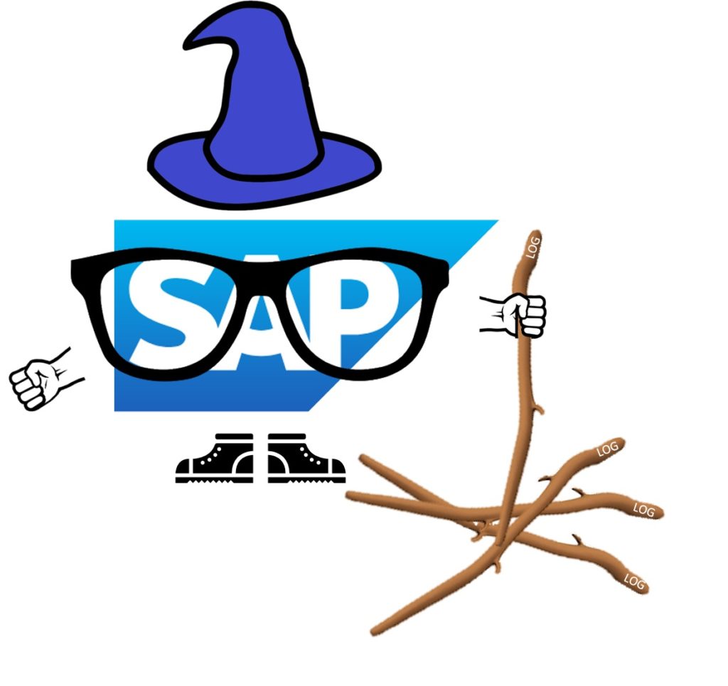 How to deal with multiple SAP logons wizard with log
