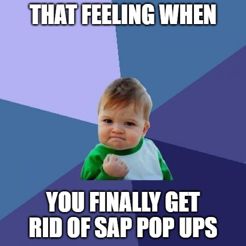 How to get rid of SAP scripting pop ups success kid